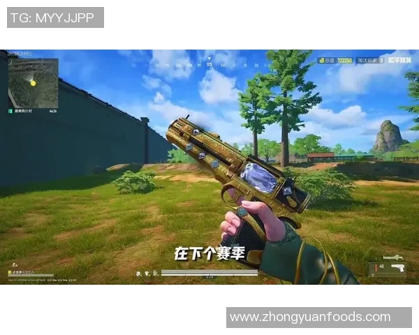 和平精英深度分析：探讨WE战队选手个人能力与团队协作的完美结合MBA