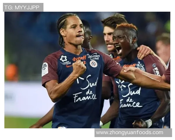 里尔与蒙彼利埃激战在即谁能在法甲赛场上笑到最后