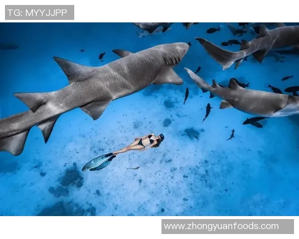 菲律宾与马尔代夫精彩对决录像回放分析及精彩瞬间集锦