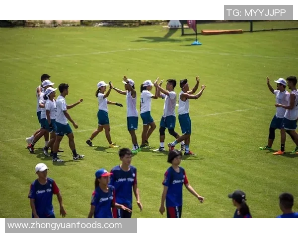 杭州飞盘队与上海飞盘队的耐力较量赛后分析与总结MBA