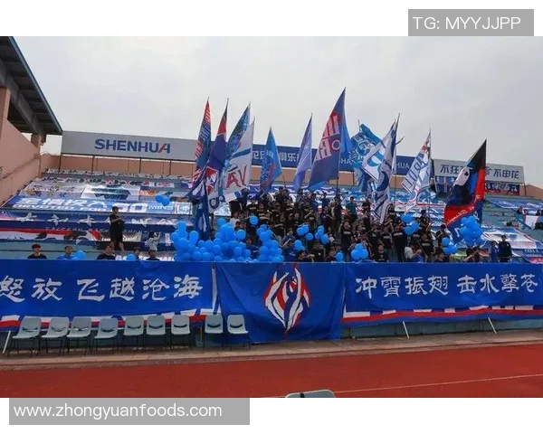 2019年一方与申花激战正酣球迷热情高涨赛场精彩纷呈