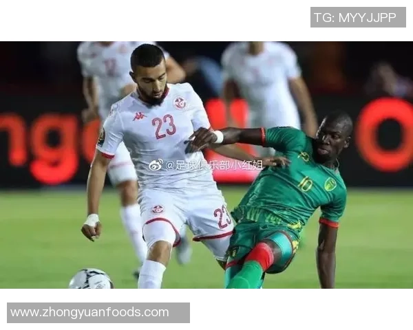 加纳与突尼斯历史交锋记录分析及比分回顾