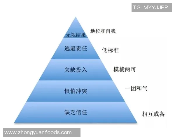 成都滑板队状态对比分析：技术水平与团队协作的深度剖析